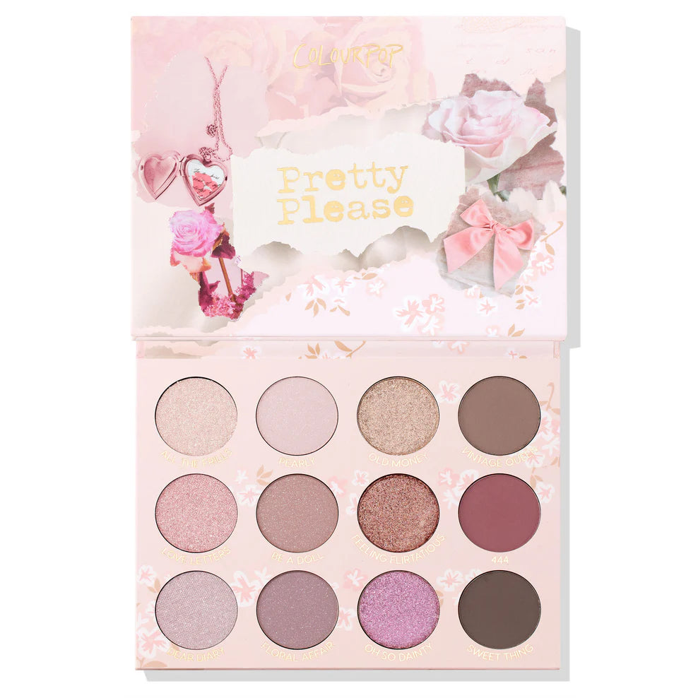 Colourpop pretty please palette